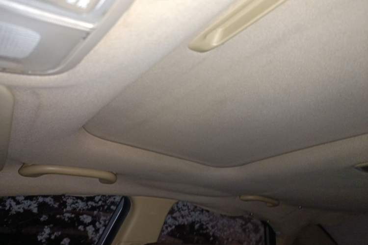 Used Hyundai Celesta 2010 1.6L MT GLS Headliner