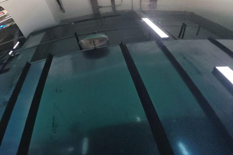 Used XPeng P7+ 2024 Long-Range Max
