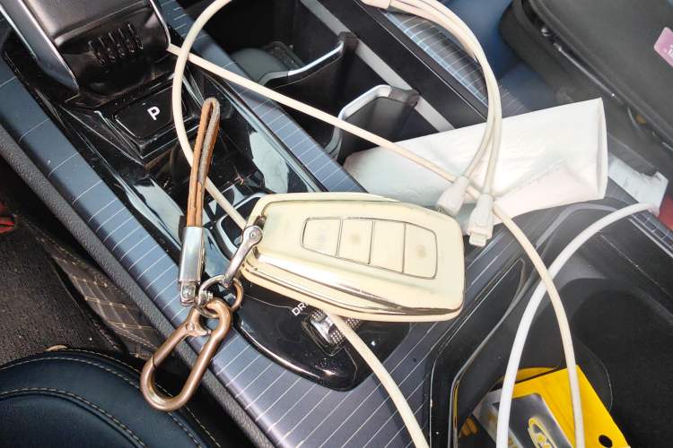 Used Livan 9 2023 470 km Founder Edition
