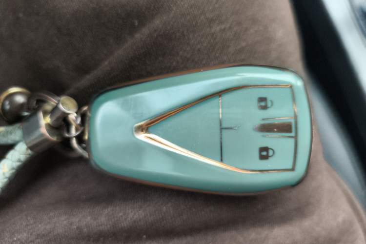 Used Changan CS55PLUS 2022 Blue Whale Edition 1.5T DCT Luxury Model
