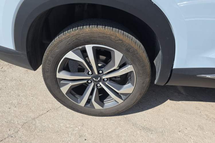 Used Wuling Asta 2022 2.0L DHT Electric-Speed Version Exterior 5