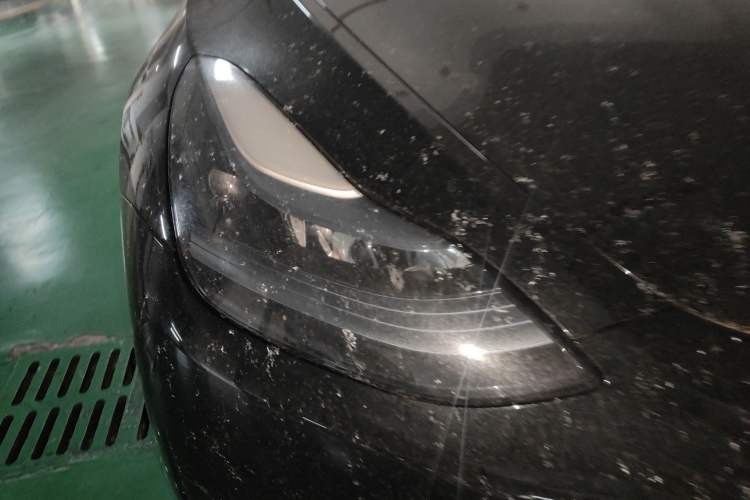 Used Tesla Model Y 2022 Revised Version Rear-Wheel Drive