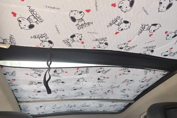 Used Volkswagen Tiguan 2012 2.0 TSI Comfort Edition Headliner