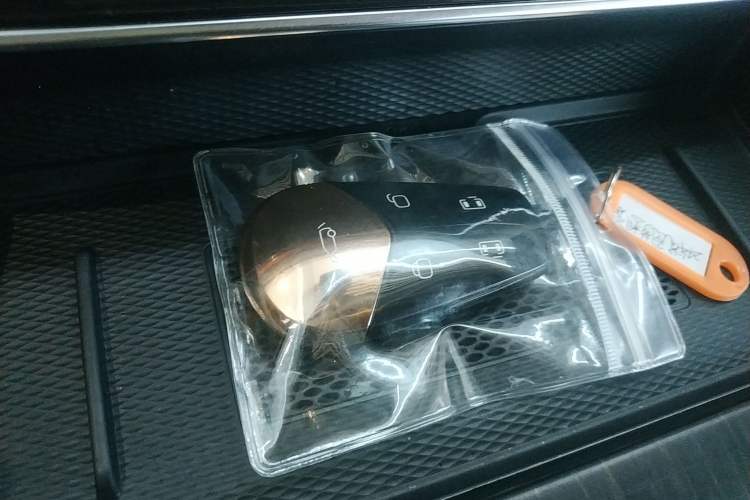 Used VOYAH Dream 2024 PHEV Ultra-Long Range Flagship Edition
