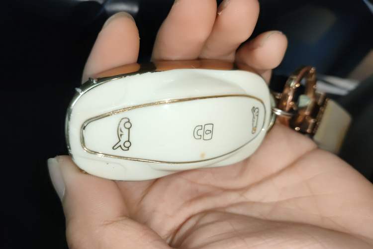 Used Tesla Model S 2019 Standard Range Version