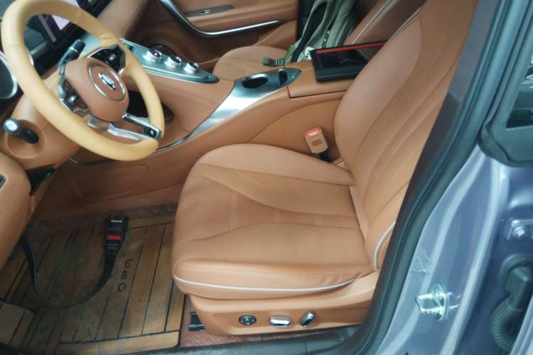 Used ORA Lightning Cat 2022 555 km Luxury Edition