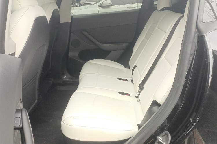 Used Tesla Model Y 2022 Revised Version Long-Range All-Wheel Drive
