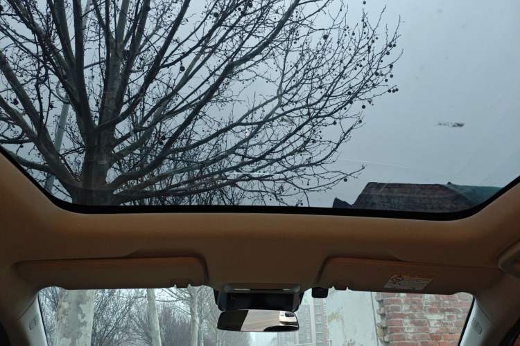 Used XPeng P5 2021 550P
