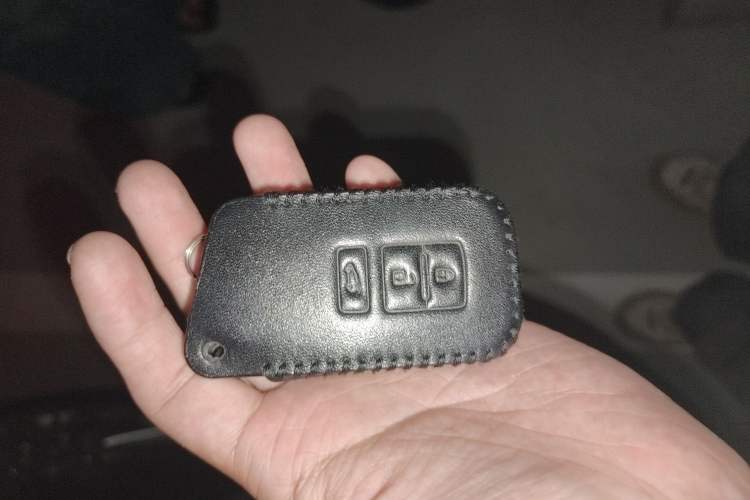 Used Lexus NX 2018 200 All-Wheel Drive FENGSHANG Version China VI Standard