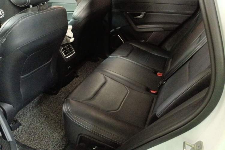 Used BYD Song Pro 2019 1.5T Automatic Luxury Model Left Rear Seat