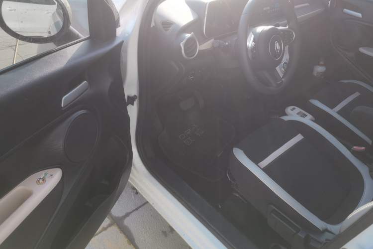 Used ORA Black Cat 2022 351 km Comfort Version Ternary Lithium