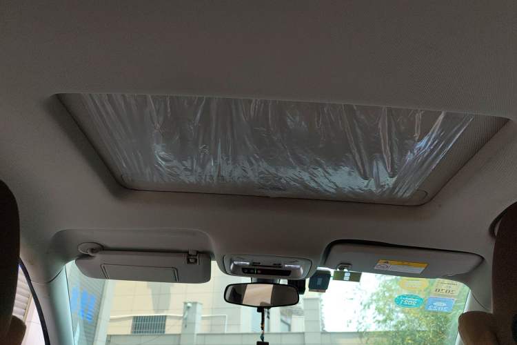 Used Buick Regal 2017 20T Elite Edition Headliner