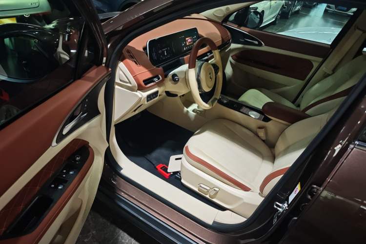 Used ORA Good Cat 2021 400km Standard Range Athena Edition Lithium-Ion Battery
