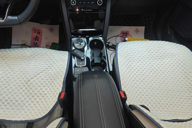 Used Ford Escape 2020 EcoBoost 245 Two-Wheel-Drive Titanium Edition Gear Lever