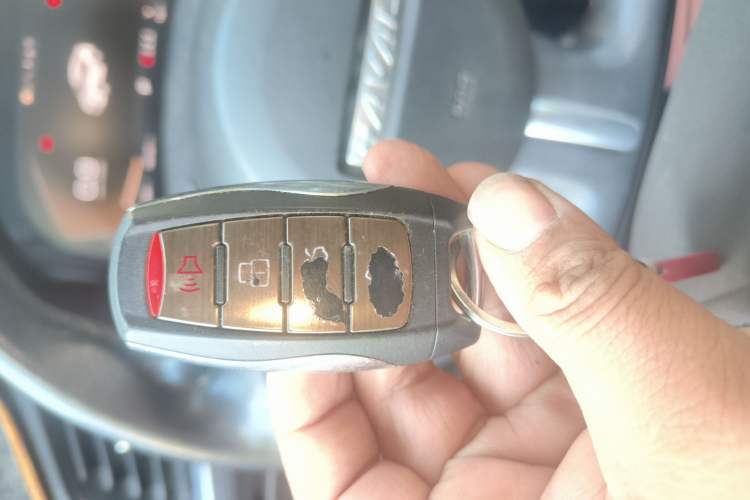 Used Haval F7x 2019 2.0T Two-Wheel Drive Intelligent Technology Edition