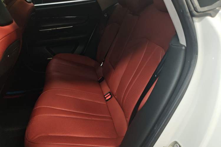 Used XPeng P7 2020 670N