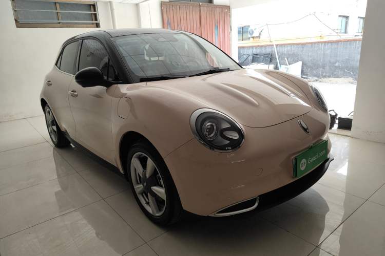 Used ORA Good Cat 2022 Morandi Edition 400km Standard Range Premium Version Lithium-Ion Battery