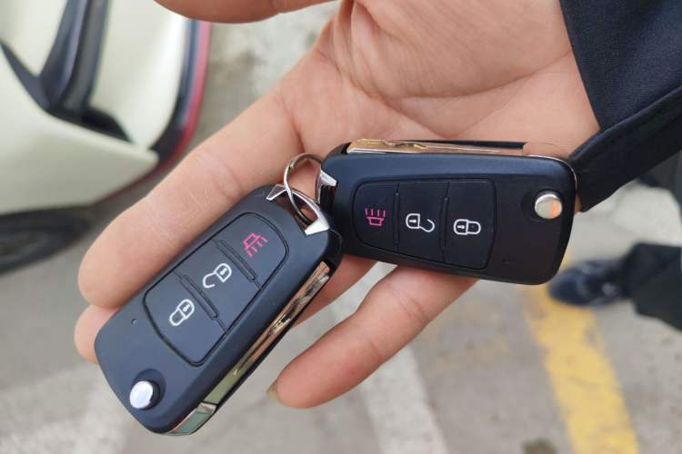 Used Great Wall Wingle 5 2023 "Dry Meal" Version 1.5T Gasoline Two-Wheel-Drive Advanced Large Double Vehicle Key