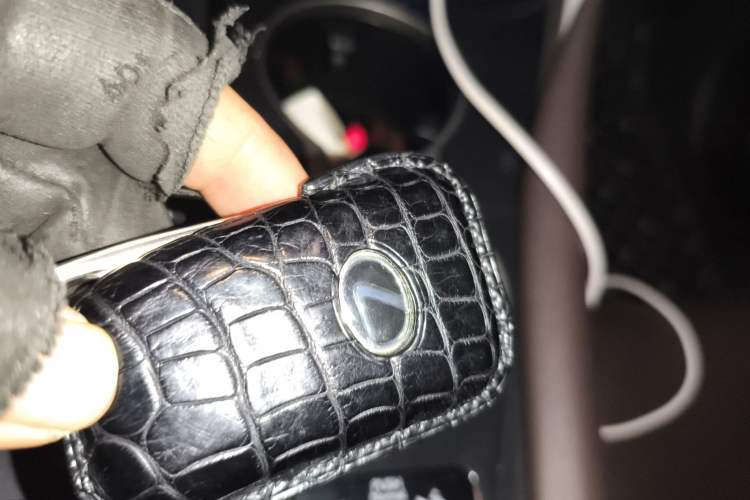 Used Lexus RX 2021 300 Four-Wheel Drive Special Edition