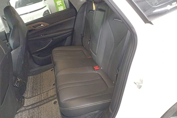 Used XPeng P5 2021 550G Left Rear Seat