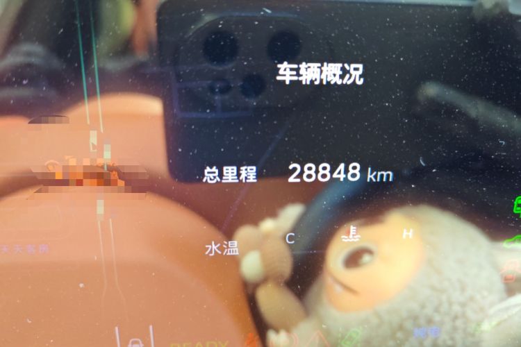 Used Wey Lanshan 2023 Four-Wheel Drive Ultra-Long Range Version
