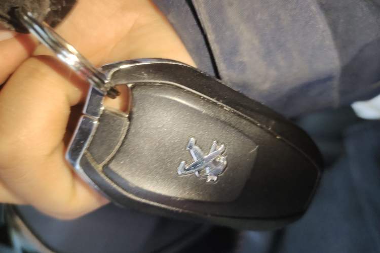 Used Peugeot 508 2019 508L 400THP PureTech Driving Control Version China VI Standard