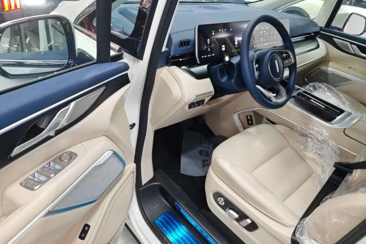 Used Wey Gaoshan 2023 Four-Wheel Drive Flagship Edition
