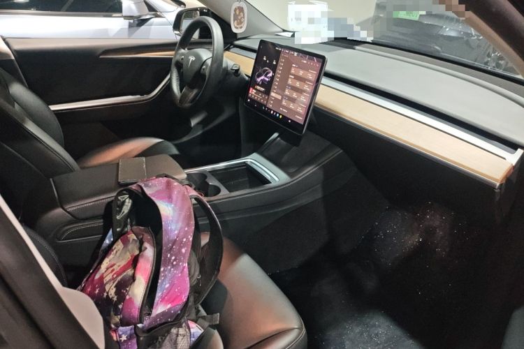 Used Tesla Model Y 2021 Long-Range All-Wheel-Drive Version 3D7 Right Front Seat