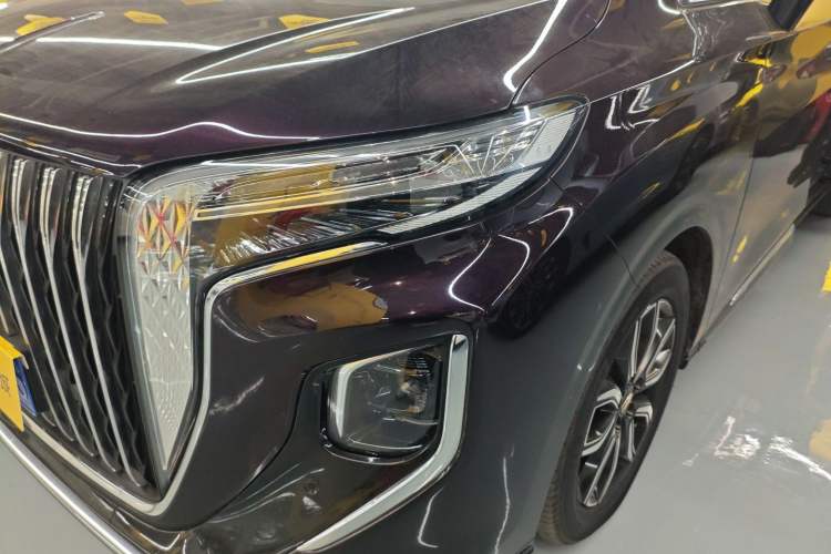 Used Hongqi HQ9 2023 2.0T Smart Connect Flagship Edition