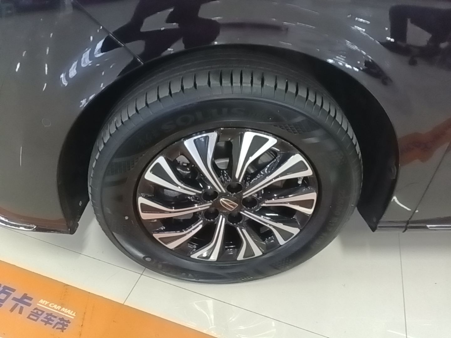 Hongqi HQ9 PHEV 2024 2.0T Four-Wheel Drive Luxury Edition — снимка 10