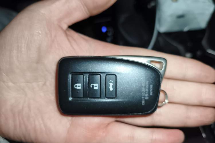 Used Lexus RX 2020 300 4x4 Elegant Edition China VI