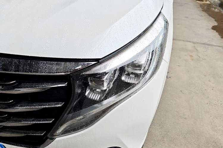 Used GAC Trumpchi M8 2018 320T Luxury Edition
