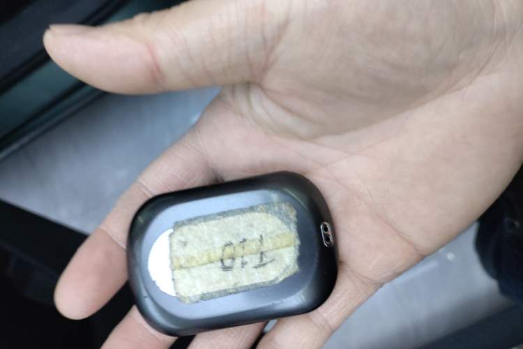 Used Chery Fengyun T10 2024 210 Luxury Edition