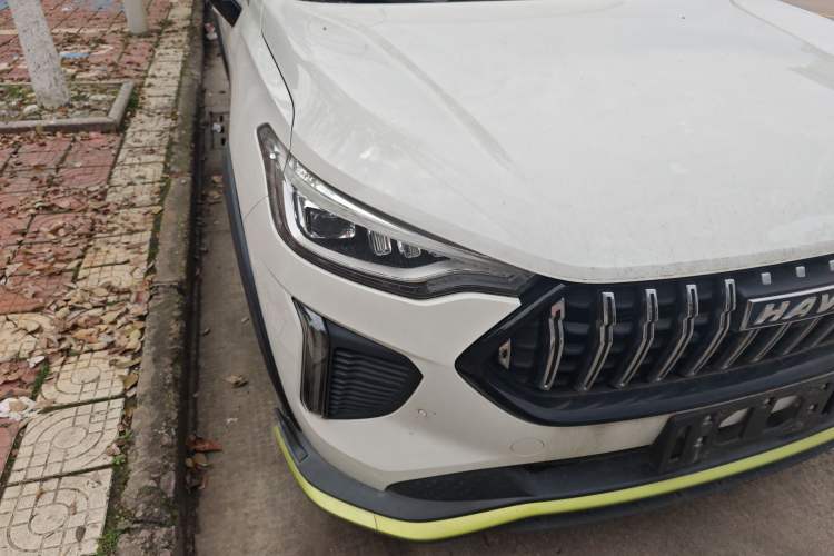 Used Haval LHERY 2022 Jingxiang Edition 1.5T Copper Rabbit
