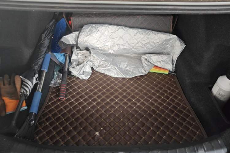 Used BMW 5 Series 2018 528Li Launch Special Edition
