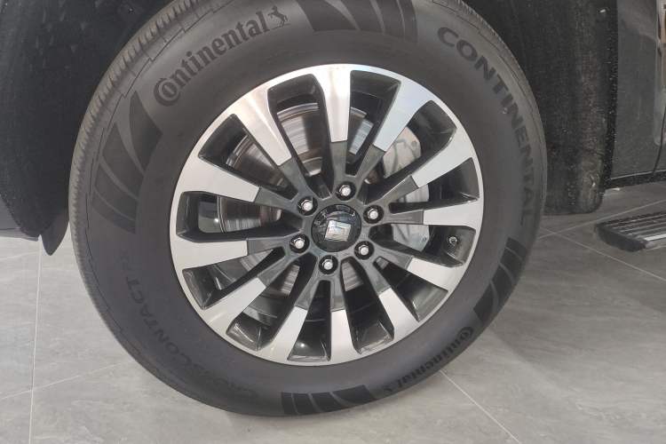 Used Tank 700 New Energy 2024 Hi4-T Extreme Edition Exterior 4