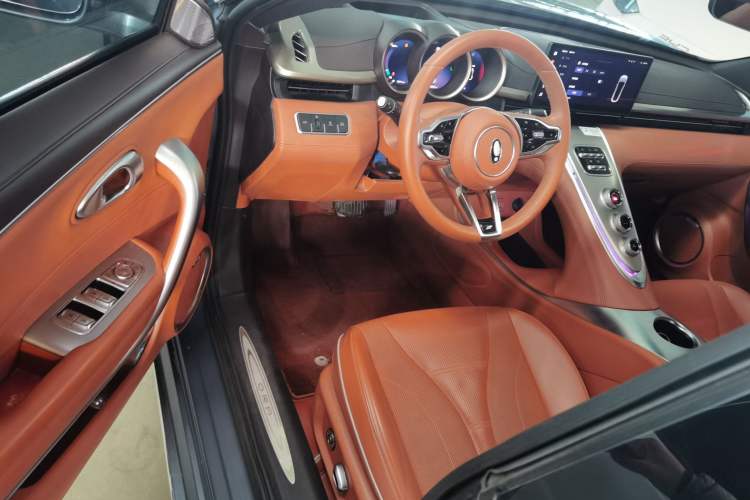 Used ORA Lightning Cat 2022 555 km Luxury Edition
