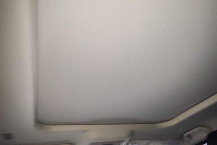 Used Tank 400 New Energy 2024 Hi4-T Off-Road Edition Headliner