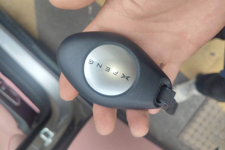 Used XPeng P7 2020 706G
