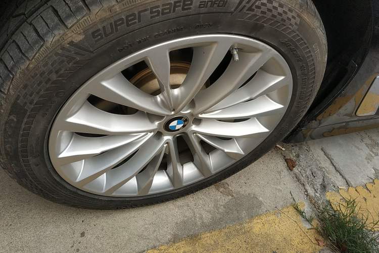 Used BMW 5 Series New Energy 2020 530Le Luxury Package Exterior 4