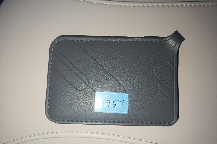 Used IM LS6 2023 Max Long-Range Version