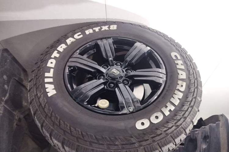 Used Tank 300 2024 2.0T Conqueror