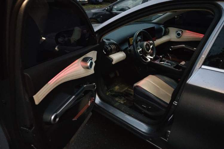 Used BYD Yuan PLUS 2022 510 km Flagship Version Driver Seat