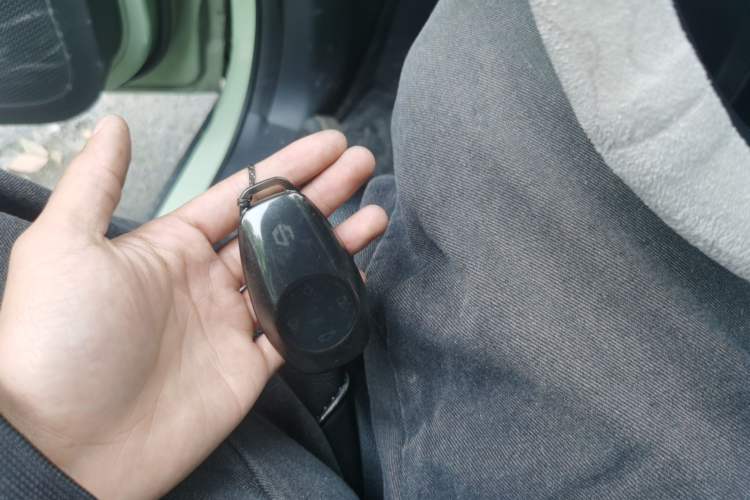 Used Leapmotor T03 2022 Hometown Jade Edition Vehicle Key