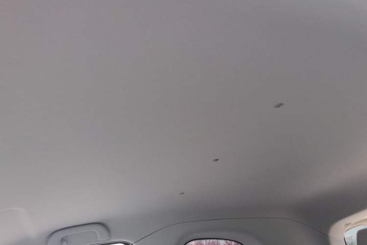 Used ZEDRIV GC2 2020 ZhiXing 450P (4-seater)
