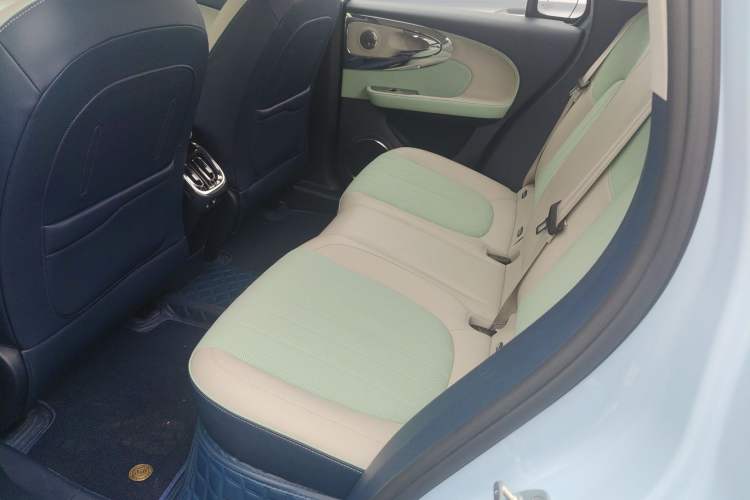 Used ORA Ballet Cat 2023 401 km Luxury Version