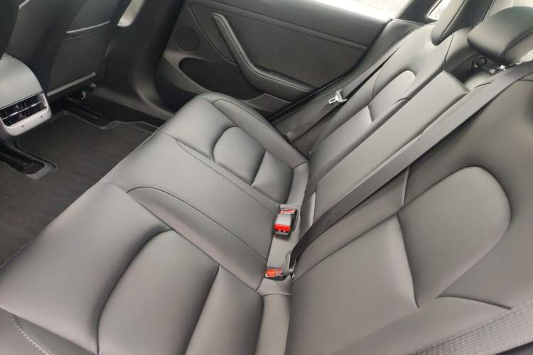 Used Tesla Model 3 2022 Rear-Wheel-Drive Version Left Rear Seat