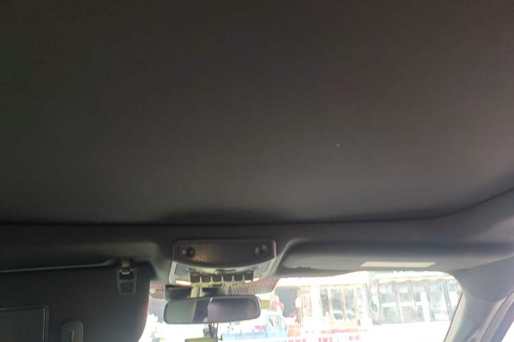 Used Ford F-150 Raptor 2017 3.5T Raptor Performance Enhanced Edition Headliner