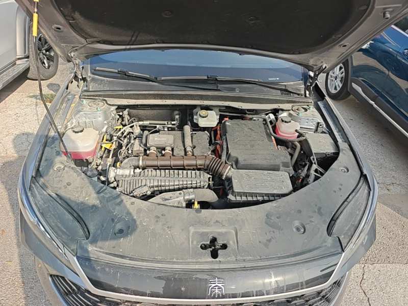 Used BYD Qin PLUS 2025 DM-i Smart Drive 55KM Leading Model — 19