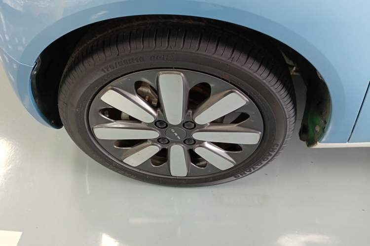 Used ORA Black Cat 2019 351 km Family Edition
